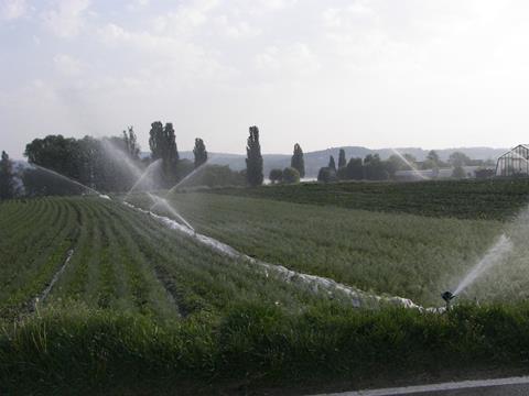 Baden_2007_Bewässerung__7__02.jpg