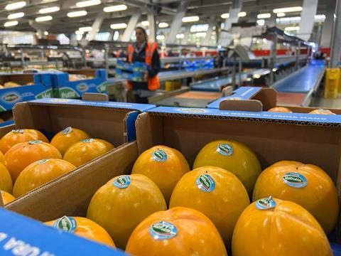 Valfrutta-branded persimmons Alegra Agrintesa