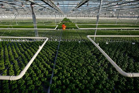 The acquisition strengthens Langmead’s position across the fresh herb supply chain
