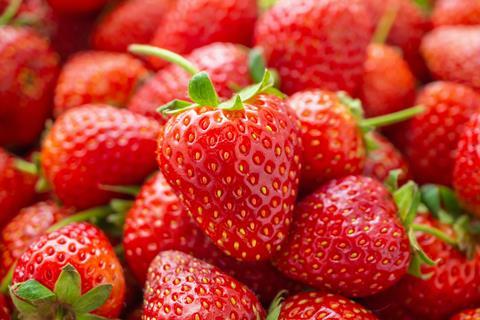 Erdbeeren