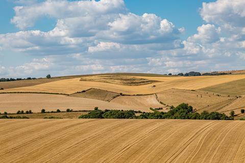 This summer's drought brought home the urgency of the climate crisis to UK producers