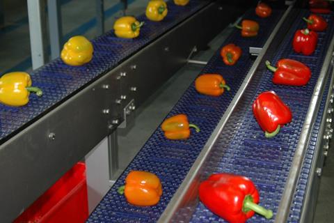 Paprika Sortierung