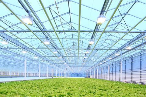 Glasshouse