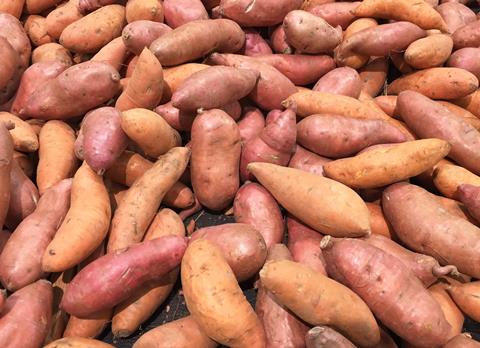 GEN Sweet potatoes AdobeStock_106166488