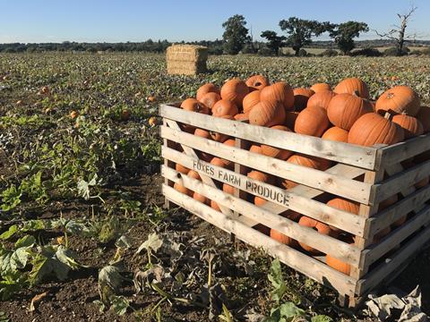 Yield could be down by as much as a third this year at Foxes Farm Produce