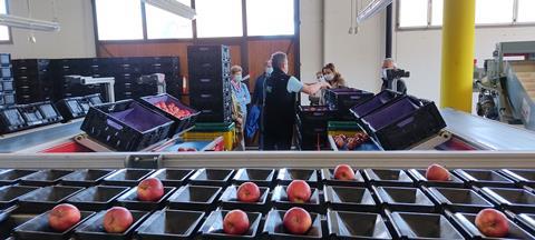 Foto: Schweizer Obstverband