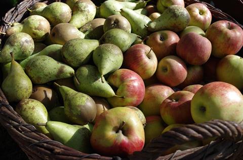 apfel-birne-Marcus61-pixabay-2022-apples-4174409