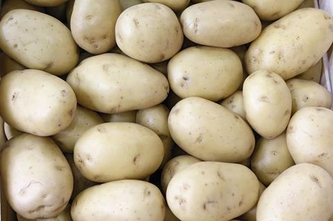 Kartoffelmarkt: Erträge regional sehr unterschiedlich