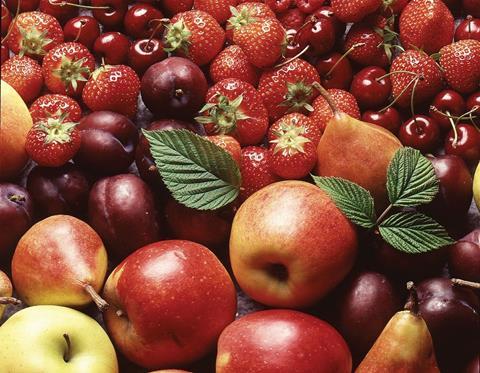 Schweiz: Obstkulturtag stand im Zeichen des Branchenwandels