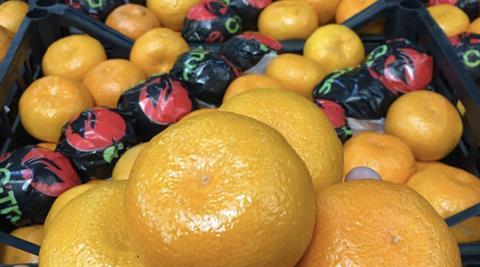 Turkish mandarins