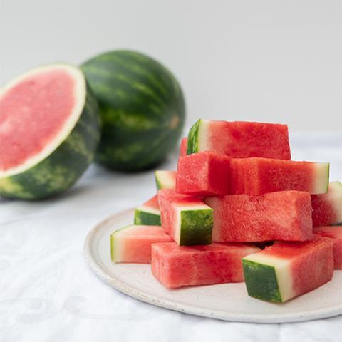 Exceed Watermelon