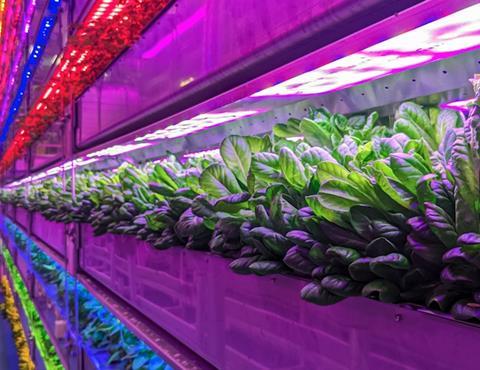 Vertical Future supplies technology for vertical farms