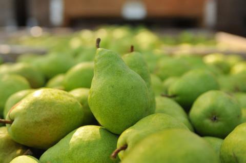 USA pears