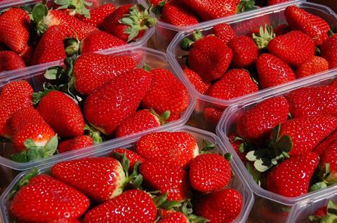 Spanien: Erdbeer-Saison mit Plus von 2 Prozent beendet