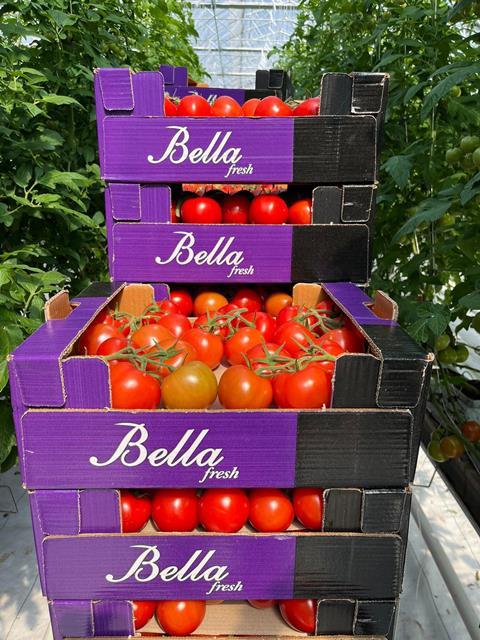 Bella Fresh tomatoes
