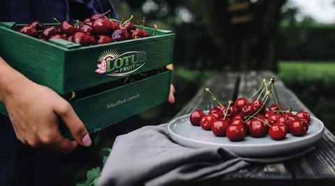 TR Lotus Fruit cherries
