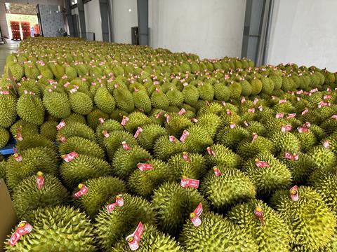 Durians and bananas are driving Vietnam's boom in fruit exports