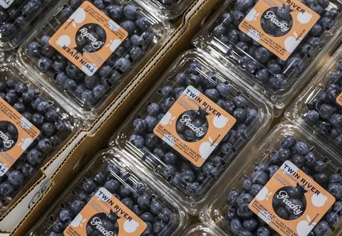 Fall Creek PeachyBlue blueberries