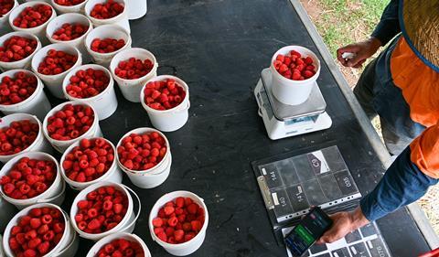 AgPick technology in use