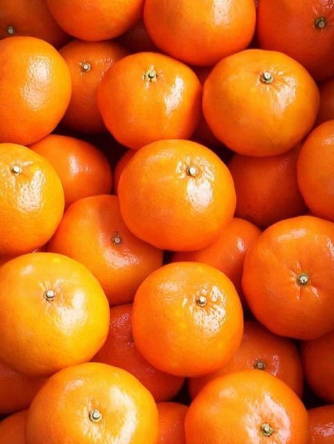 Peru: Anstieg der Citrus-Exporte um 10 %