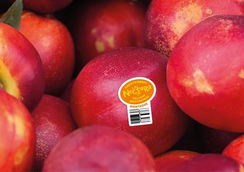 Montague's new Nectara nectarine brand