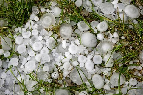 Große Hagelkörner auf einer Wiese