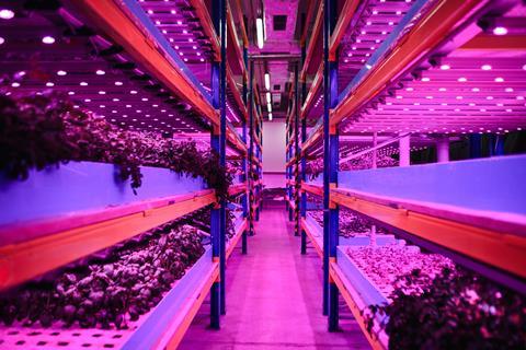 The 2022 Vertical Farming World Awards take place in Belgium