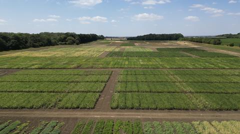 Growers have been urged to join ahead of autumn drilling
