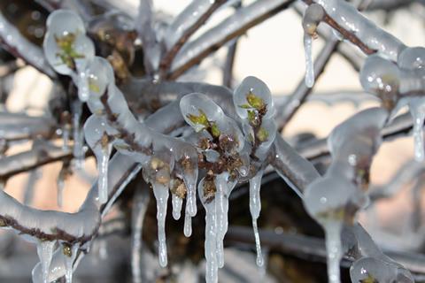 Frost-AdobeStock