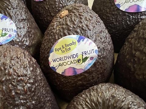 Worldwide Fruit avocados