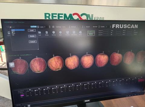 La tecnología Reemoon está en progreso para la empresa chilena de procesamiento y envasado de frutas Crisanto