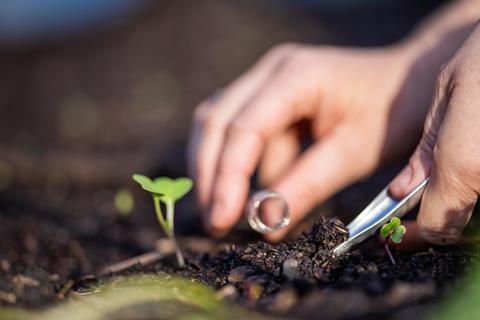 Varda soil sampling