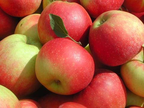 Österreich: Apfelpreise unter Druck