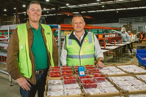 Gavin Scurr (left) and Luke Wood demonstrate how the Escavox system works during peak berry season at Piñata Farms' packhouse in Wamuran