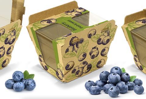 Sofrupak blueberry packaging 2023