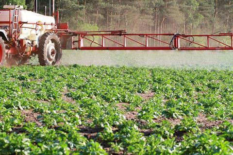 Anwendung von Quassia amara im Pflanzenschutz nicht länger zulässig