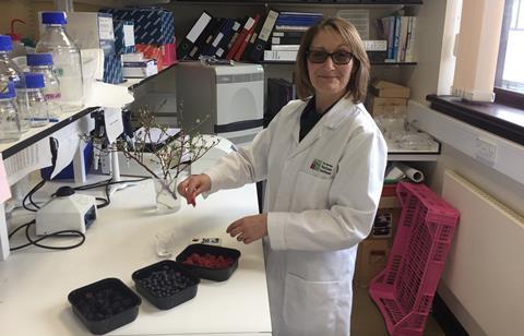 Dr Julie Graham James Hutton Institute
