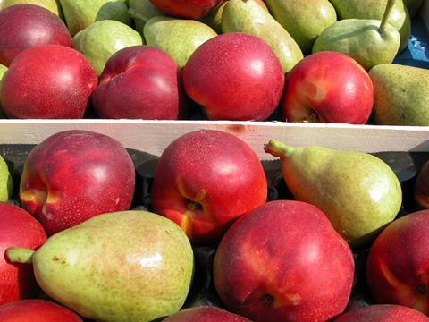 Katalonien: Erntemengen bei Kernobst haben sich erholt
