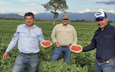 Fyffes Honduran melons