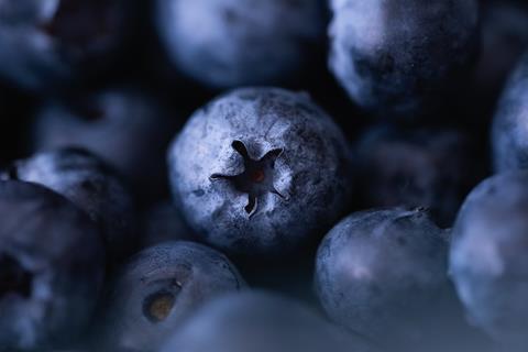 Generic blueberries closeup