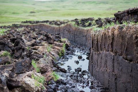 Zoe Lipkens is researching the topic of peat