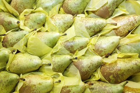 Birnen_Fruit_Logistica_2010__1_.jpg