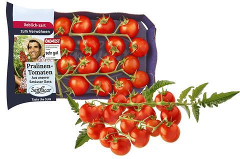 Sanlucar: Tomaten aus der Oase