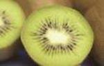 Kiwi_Web_12.jpg