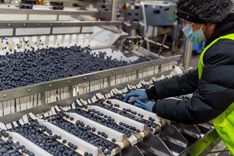Oz Group has reduced reliance on external partners after integrating FreshCloud into its packhouse