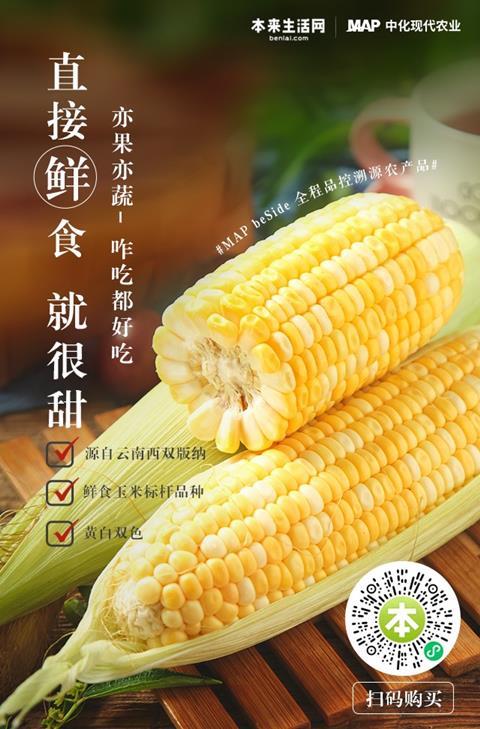 Cupola sweet corn is available via the MAP Zone