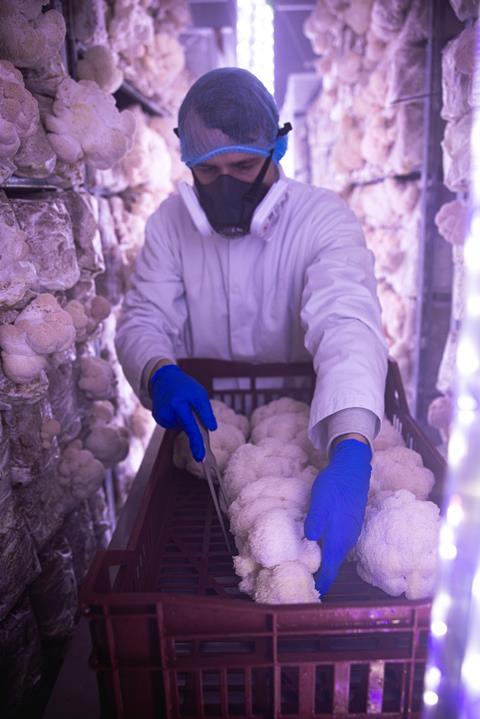 The company has a state-of-the-art vertical farm