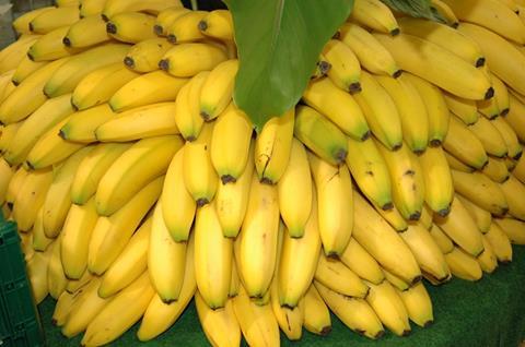 EU: Bananenimporte 2018 gestiegen