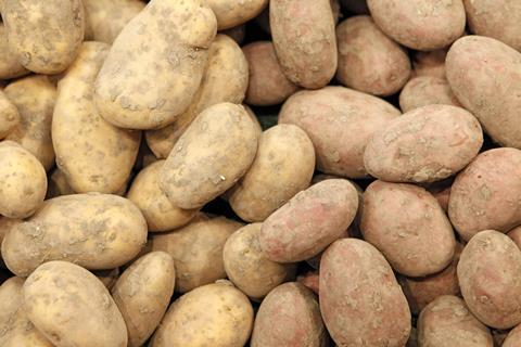 Kartoffeln mit anhaftender Erde
