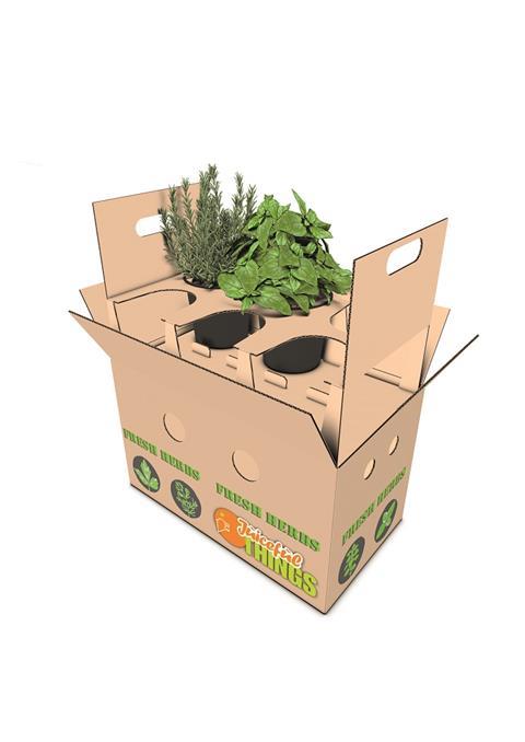 Panther Packaging: Neue Transportverpackung für Kräuter